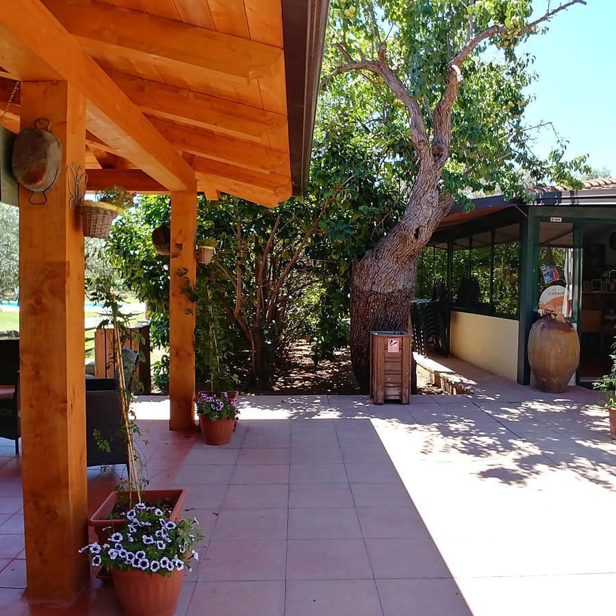 La Piana Degli Ulivi Bed & Breakfast Rossano Exterior photo