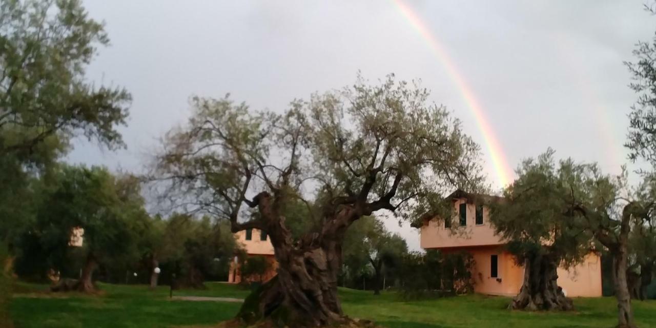La Piana Degli Ulivi Bed & Breakfast Rossano Exterior photo